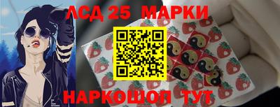 шишки Славгород