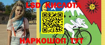 шишки Славгород