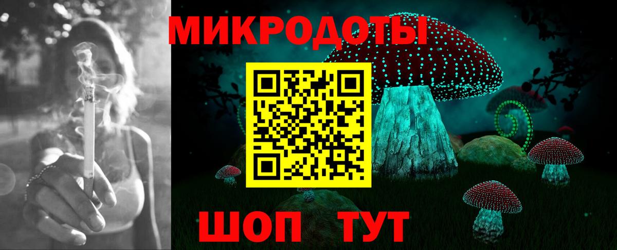 Псилоцибиновые грибы Cubensis Нижний Новгород